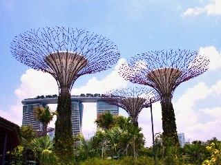 Botanischer Garten Singapur